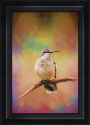 Framed Colorful Personality Print