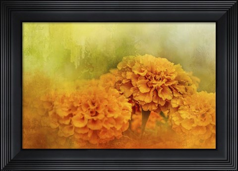 Framed Fresh Autumn Flowers Print
