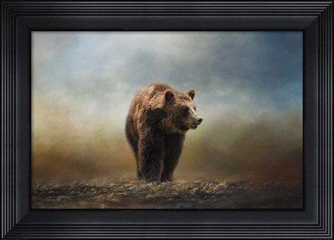 Framed Grizzly On The Rocks Print