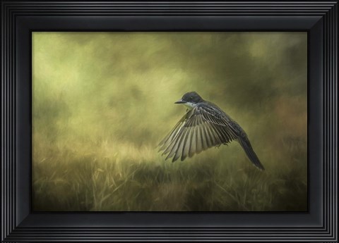 Framed Hovering Print