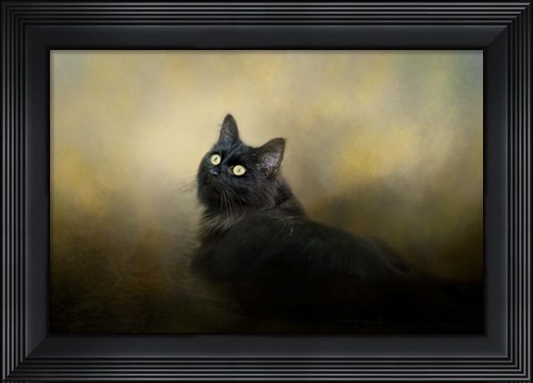 Framed In The Garden Light Print