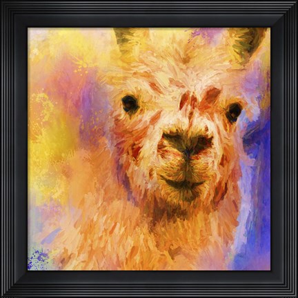 Framed Jazzy Llama Print