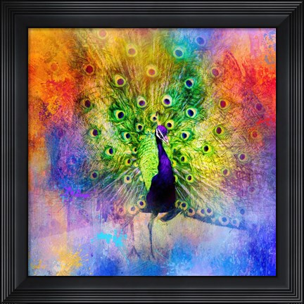 Framed Jazzy Peacock Print