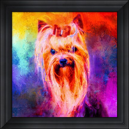 Framed Jazzy Yorkshire Terrier Print