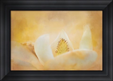 Framed Late Magnolia 2 Print
