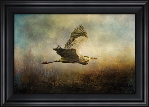 Framed Low Flyer Print