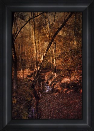 Framed Shiloh Creek 2 Print
