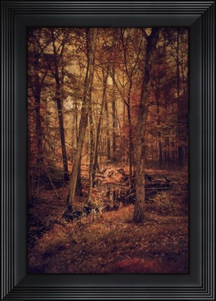 Framed Shiloh Creek 3 Print