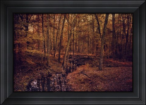 Framed Shiloh Creek 4 Print