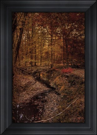 Framed Shiloh Creek 5 Print