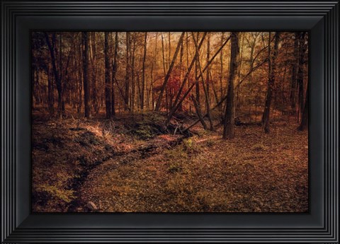 Framed Shiloh Creek 6 Print