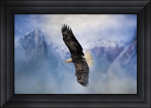 Framed Soaring Print