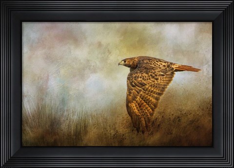 Framed Stealthy Hunter Print