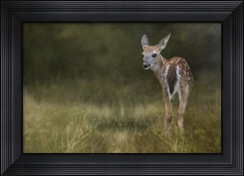 Framed Tiny Fawn In The Meadow Print