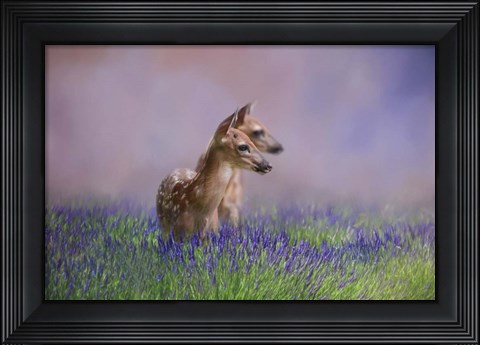 Framed Twin Fawns In The Lavender Print