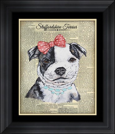 Framed Staffordshire Terrier Print