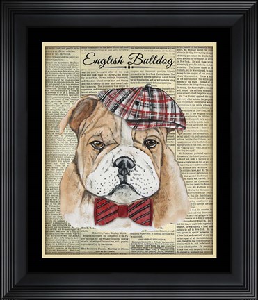Framed English Bulldog Print