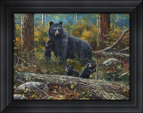 Framed Age of Wonder Print