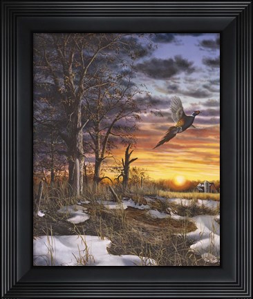 Framed Autumn Ringneck Print