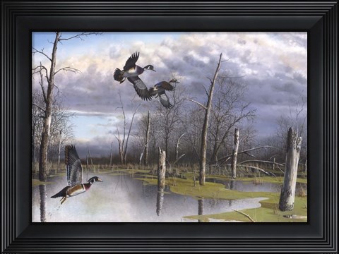 Framed Backwater Woodies Print