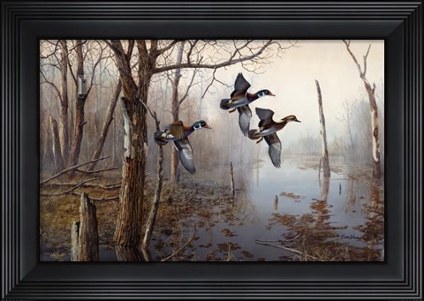Framed Backwater Print