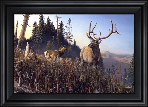 Framed Big Sky Monarch Print