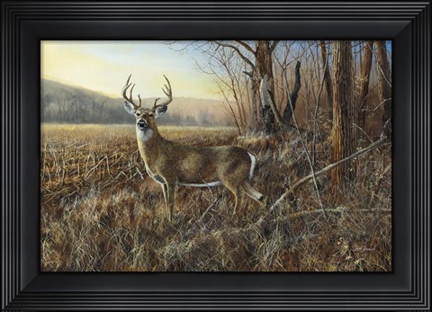 Framed Bluff Country Buck Print