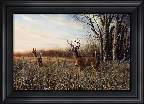 Framed Breaking Cover Print