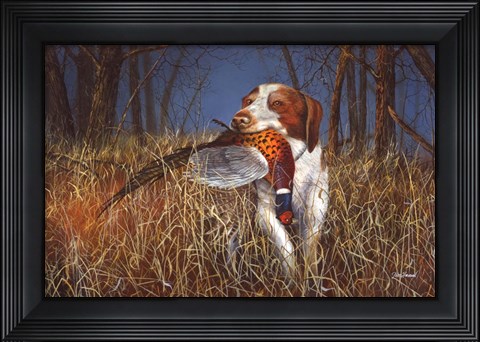 Framed Brittany Print