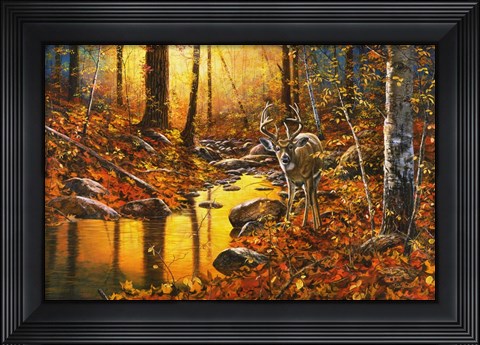 Framed Close Encounter Print