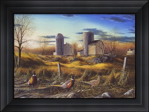 Framed Fenceline Ringnecks Print