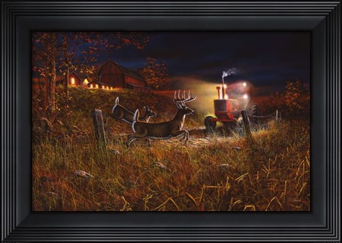 Framed Field Of Dreams 2 Print