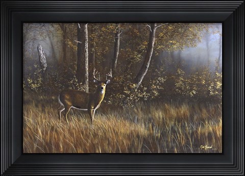 Framed Morning Whitetail Print