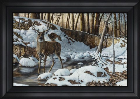 Framed River Bottom Buck Print