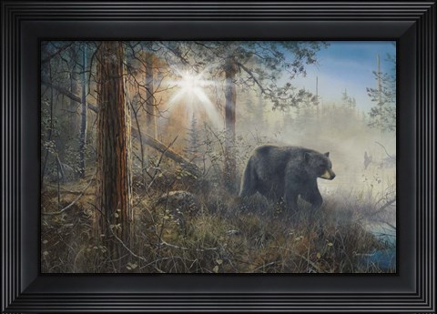 Framed Shadow In The Mist Print