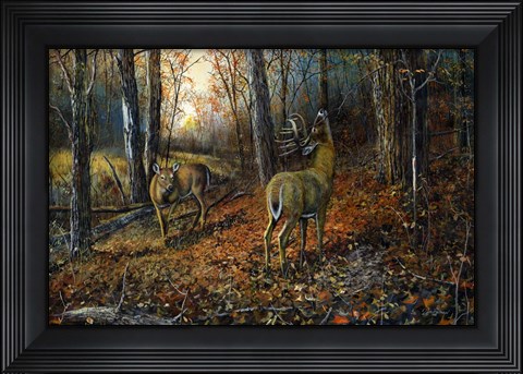 Framed Signs of Autumn Print