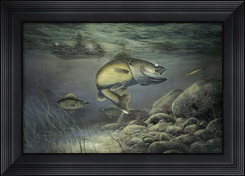 Framed Taking The Bait Print
