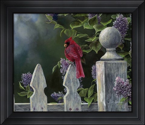 Framed Birds Eye View Print