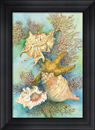 Framed Shells in the Deep Green Sea Print