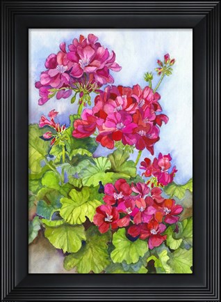 Framed Bold Blue Sky Bright Geraniums Print