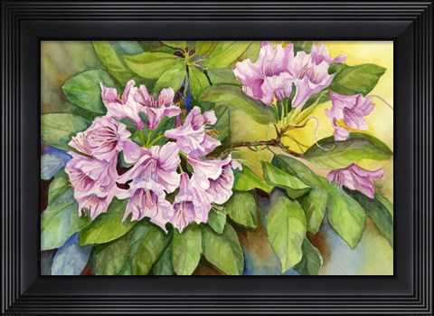 Framed Pink Sunlit Azalea Print