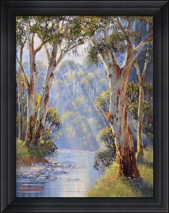 Framed Riverside Gums   Tumut Print