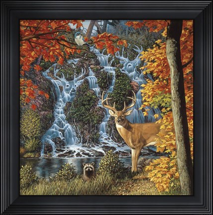 Framed Afternoon At Sanctuary Falls Print