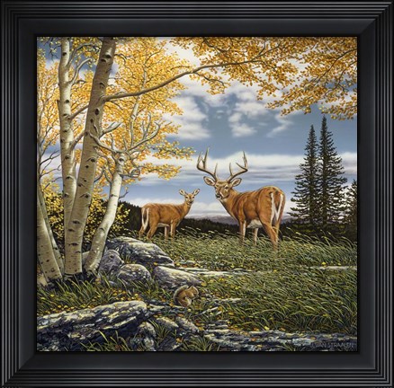 Framed Woodland Meadows Print