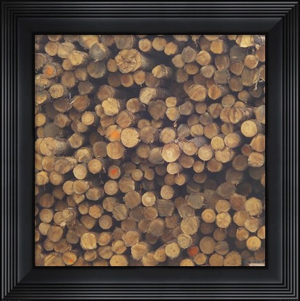 Framed Logs Print