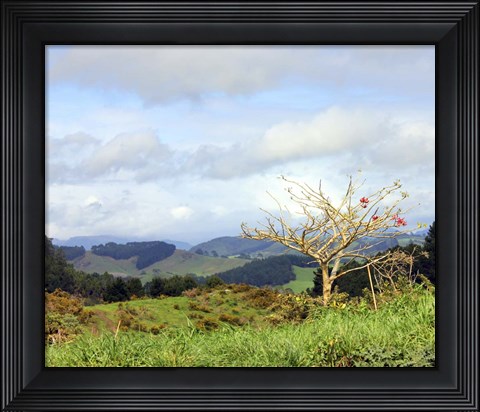 Framed New Zealand 2 Print