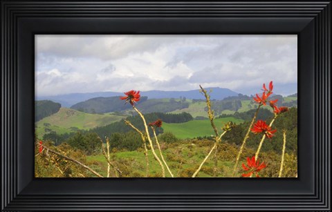 Framed New Zealand 5 Print