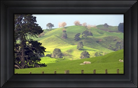 Framed New Zealand 6 Print