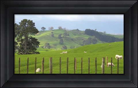 Framed New Zealand 7 Print