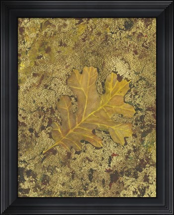 Framed Oak Leaf Print